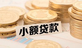 深圳宝安区哪里有小额贷款-深圳宝安区身份证贷款平台-深圳宝安区民间短借
